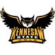 Kennesaw State Owls